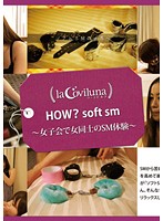 HOW？ soft sm 女子会で女同士のソフトSM体験