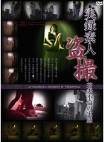 実録素人盗撮 若妻不倫の実態