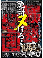 ヘンリー塚本原作 絶対ヌける！猥褻（わいせつ）図画 快楽にのたうついい女-新作撮り下ろし過激SEX集-