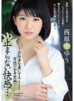 止まらない快感… ～貞淑妻を虜にする背徳の全身愛撫～ 西原ゆう