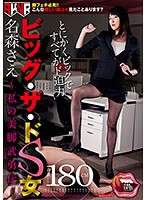 ビッグ・ザ・ドS女 名森さえ ～私の美脚武勇伝～