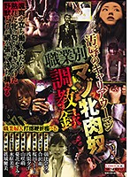 汚辱のキャリアウーマン 職業別マゾ牝肉奴調教録