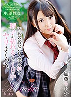 両親の居ない日、僕は妹と精子が枯れるまで1日中ヤリまくった。 加藤ももか